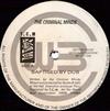 Album herunterladen The Criminal Minds - Baptised By Dub