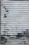 ladda ner album Naukati - Grey Veins Of The World